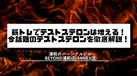 筋トレ エッチ|筋トレをすると性欲は増える？減る？テストステロンや禁欲との。